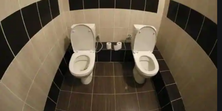 Study says flushing public toilets can spread COVID-19