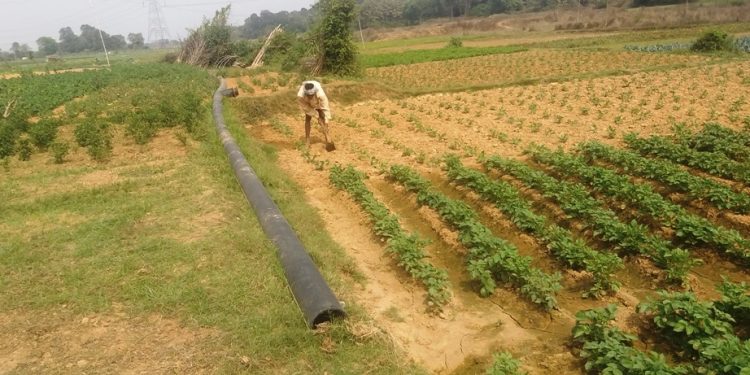 9 mega lift irrigation projects incomplete in Jajpur