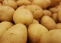 Odisha contemplates to procure potato from Uttar Pradesh