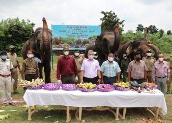 World Elephant Day being observed at Nandankanan Zoological Park