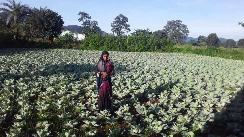 Daringbadi woman scripts success in farming