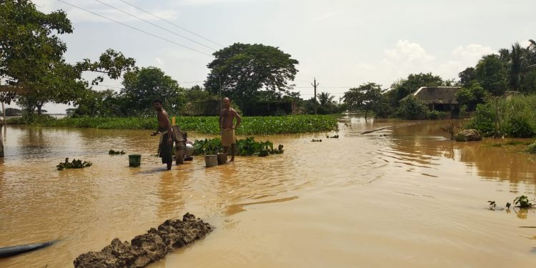 Floodwater recedes, but woes continue