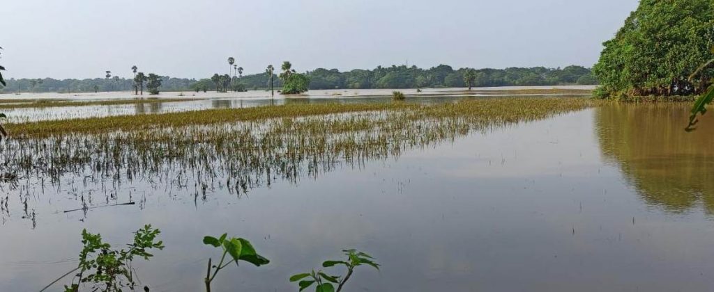 Will flood-hit Jajpur limp back to normalcy