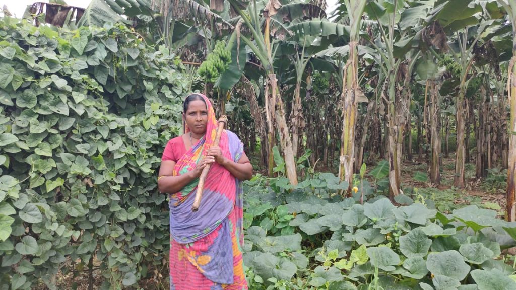 Angul widow engaged in farming suffers huge losses due to COVID-19 lockdown, seeks government help