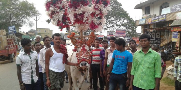 Bhuban’s world famous ‘Bullock Festival’ gets green signal; to be observed with COVID-19 guidelines