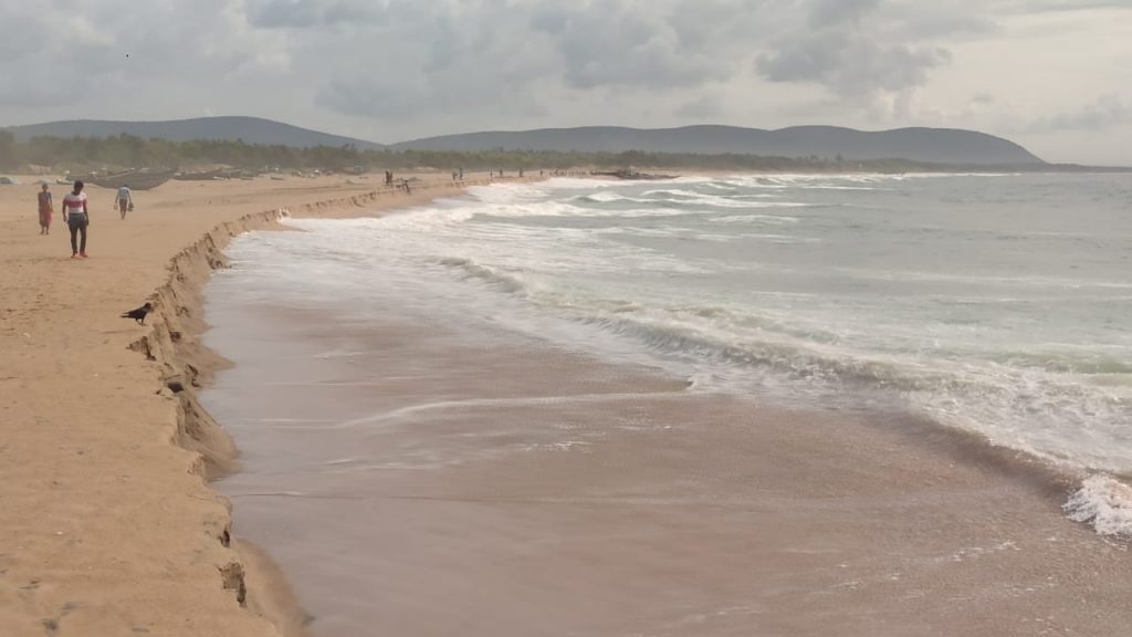 Coastal erosion blow to Olive Ridleys