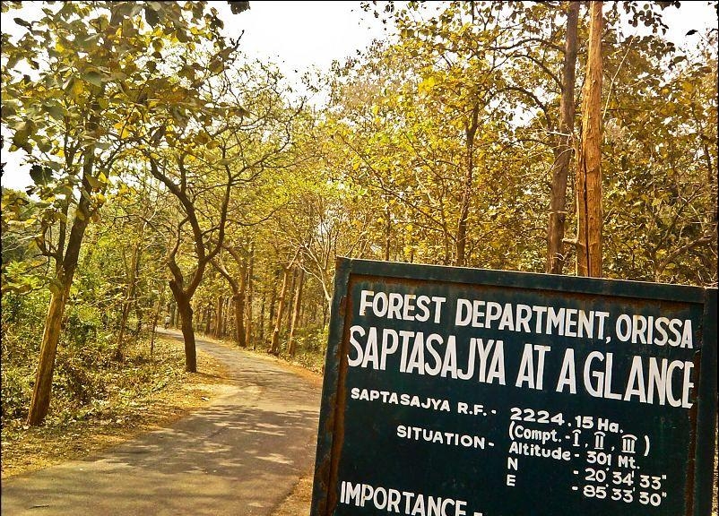 Dhenkanal forests turn from animals’ safe haven to poachers’ paradise