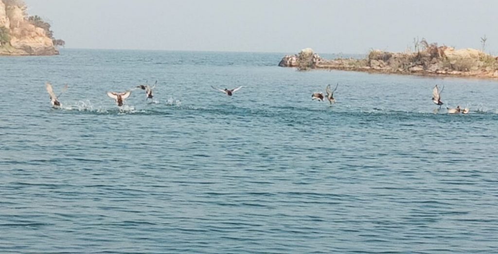 Diamond mine buried in Hirakud reservoir