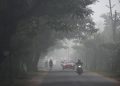 Fog weather in Odisha