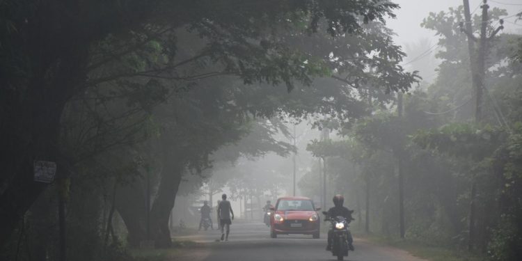 Fog weather in Odisha