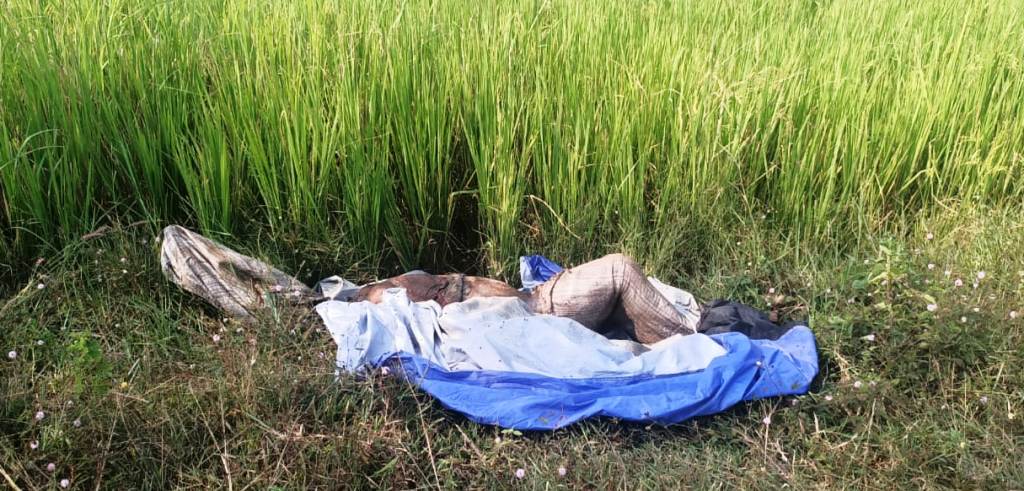 Man’s decomposed body found wrapped in polythene sheet in Cuttack