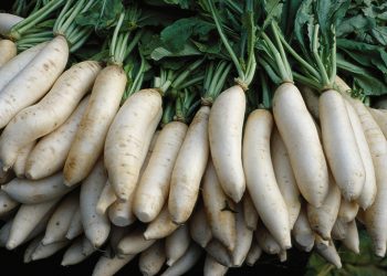 Include radish in your diet this winter to increase immunity