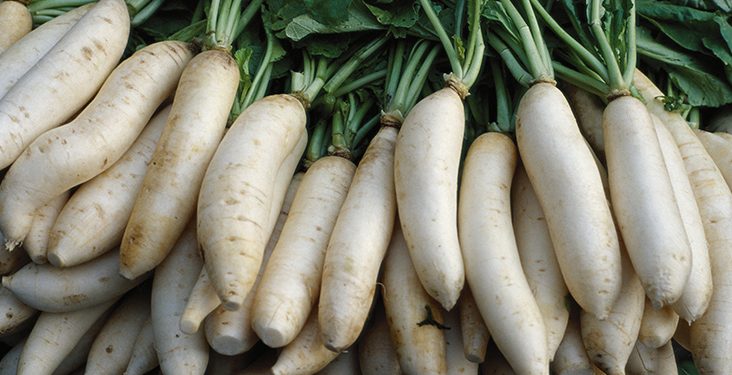 Include radish in your diet this winter to increase immunity