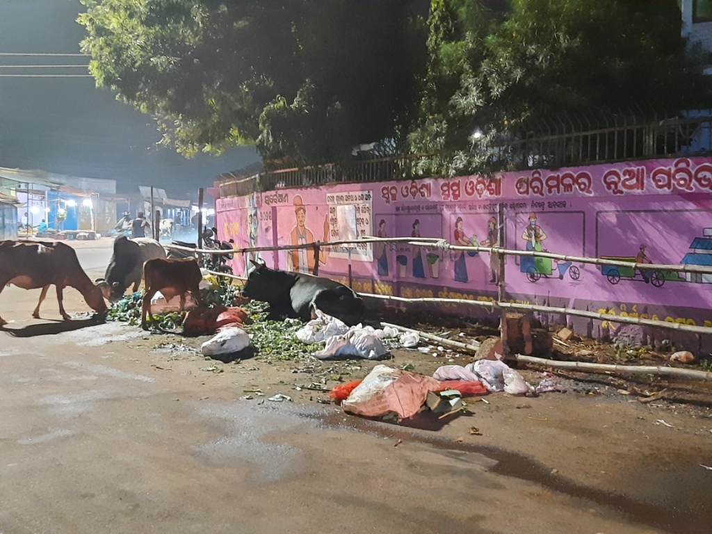 ‘Swachh Bharat, Sustha Bharat’ campaign fails in Khurda