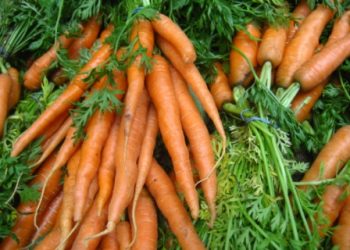 Study reveals how carrots are healthy for heart