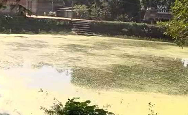 Pari death case Drying up of pond where Pari’s skeletal remains were found started