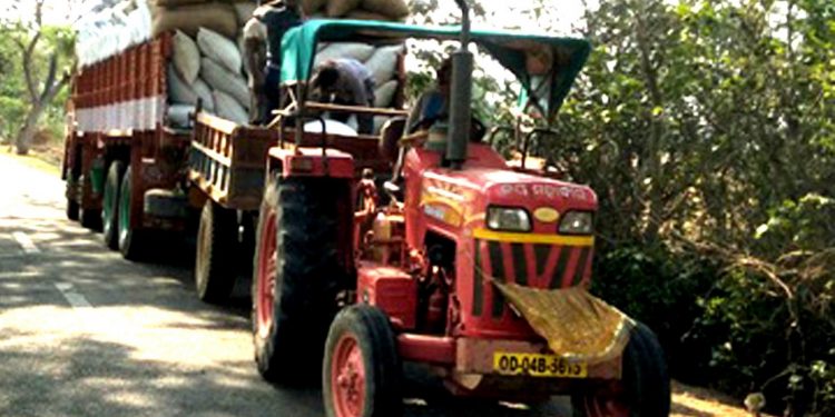 Andhra traders make hay in Bhadrak district