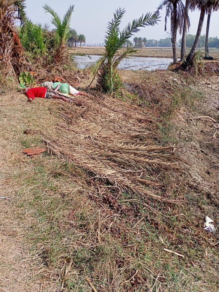 Bodies of elderly couple recovered in Balasore village