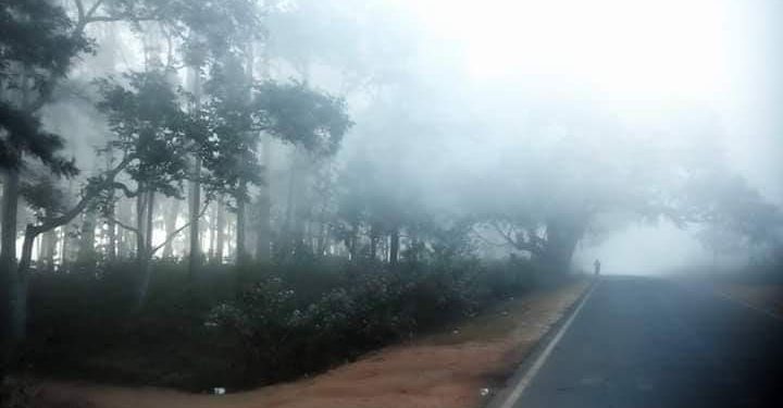 Cold wave set to grip a number of districts in Odisha, ‘Yellow Warning’ issued  