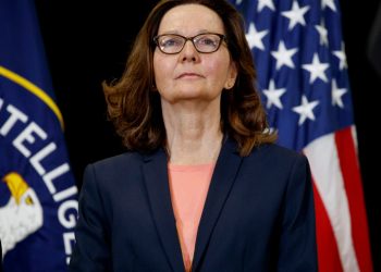 Central Intelligence Agency director Gina Haspel  (AP Photo/Evan Vucci)