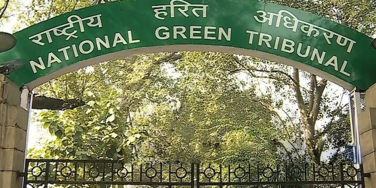 NGT seeks report from RSP on toxic gas leakage mishap