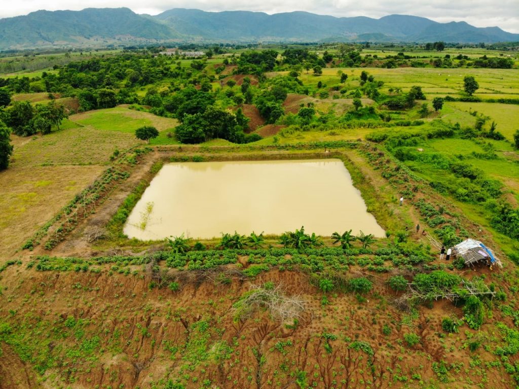 Jagili scripts farming success, courtesy farm pond