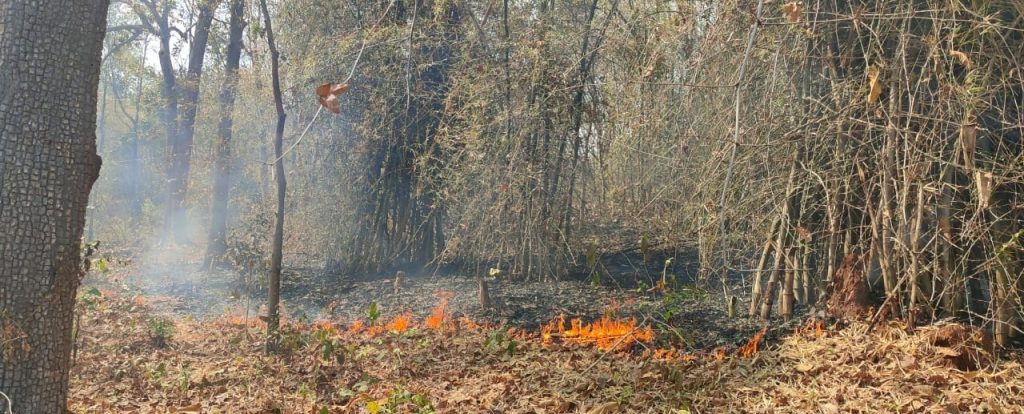 2 forests in Handapa range burning