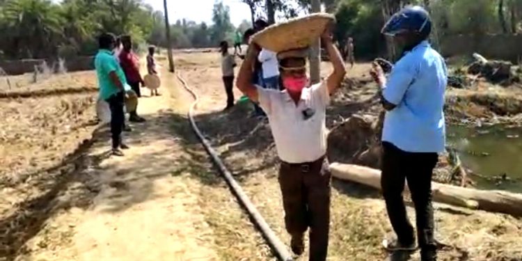 Bhadrak project director dons labourer’s hat, video goes viral