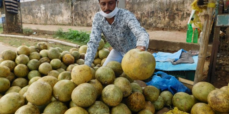 A vendor sells bael fruits in Bhubaneswar on the eve of Maha Vishuba Sankranti