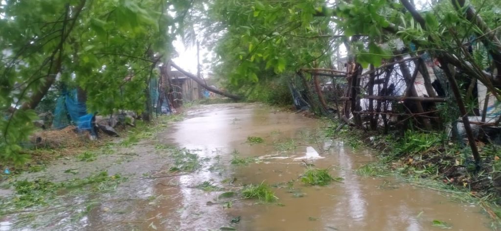 People affected by high tide in Bhadrak district to get food for three days