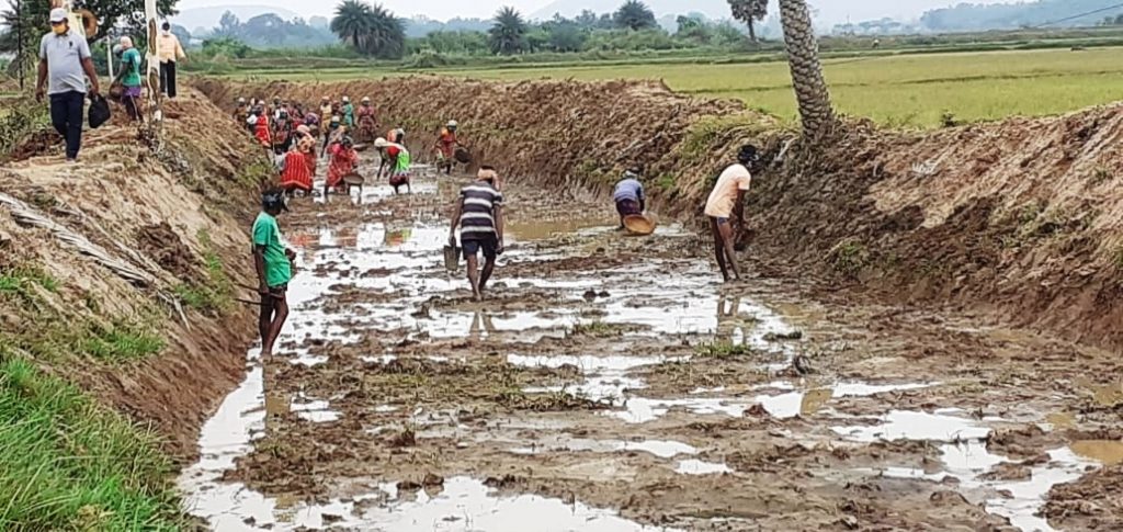 Ganjam tops in person-days creation under MGNREGA