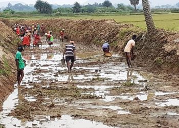 Ganjam tops in person-days creation under MGNREGA