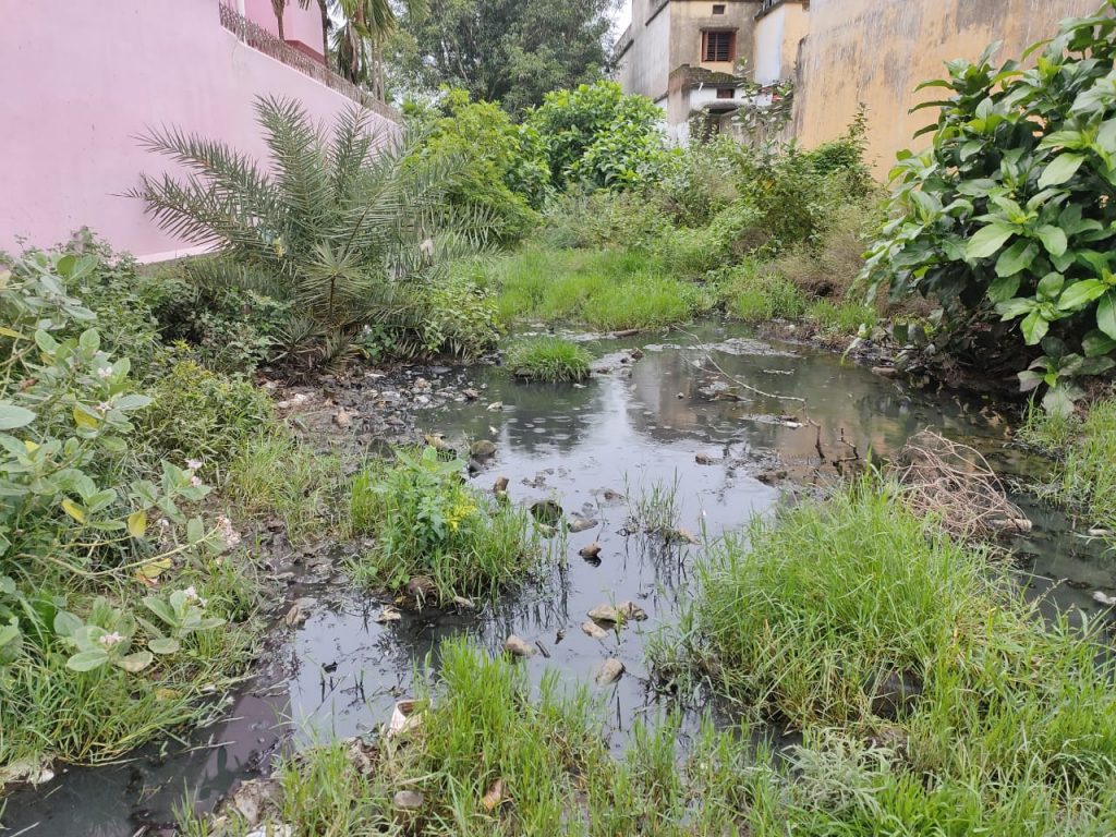 Ganjam Dengue fear grips Buguda NAC residents