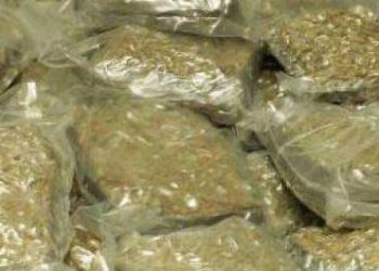 Ganja over 1 quintal seized in Koraput district, 3 held