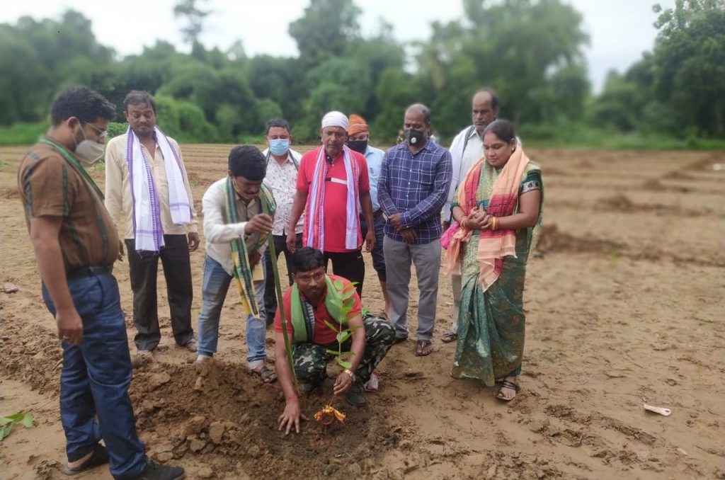 Hort department's work bears fruits in Rasulpur