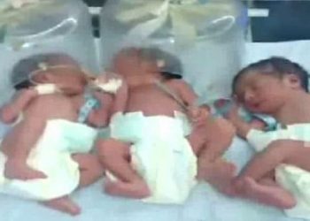 Woman gives birth to quadruplets at SCBMCH