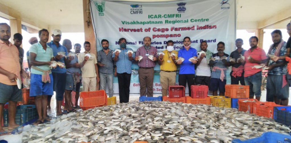 Cage fish culture project in Hirakud reservoir tastes success