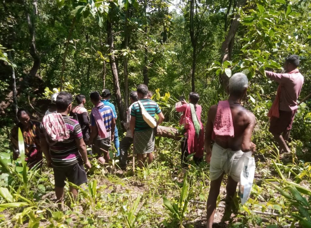 Nayagarh villagers reclaim ownership over forests