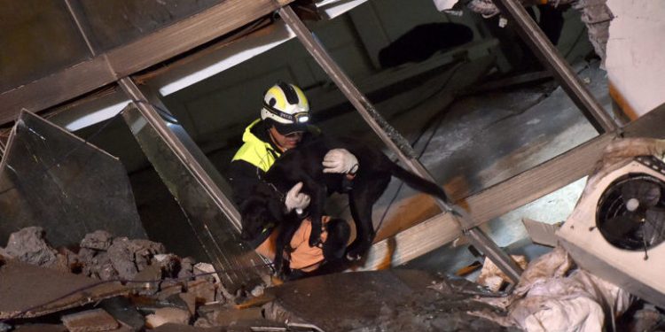 (180209) -- TAIPEI, Feb. 9, 2018 (Xinhua) -- Rescuers work at the damaged Yun Men Tusi Ti building in Hualien, southeast China's Taiwan, Feb. 9, 2018. The search for the five missing mainland tourists has been halted due to the smell of gas, local fire fighting authorities said late Friday, adding that rescue work will be continued after the smell disperses. (Xinhua/Yue Yuewei) (zkr)