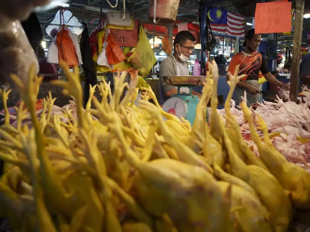 A seller prepares freshly butchered chickens at the Kampung Baru wet market in Kuala Lumpur, Malaysia. (Photograph: Vincent Thian/AP)