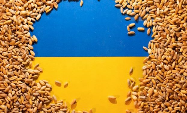 ukraine grain exports