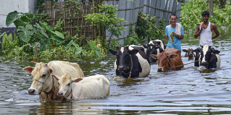 Floods