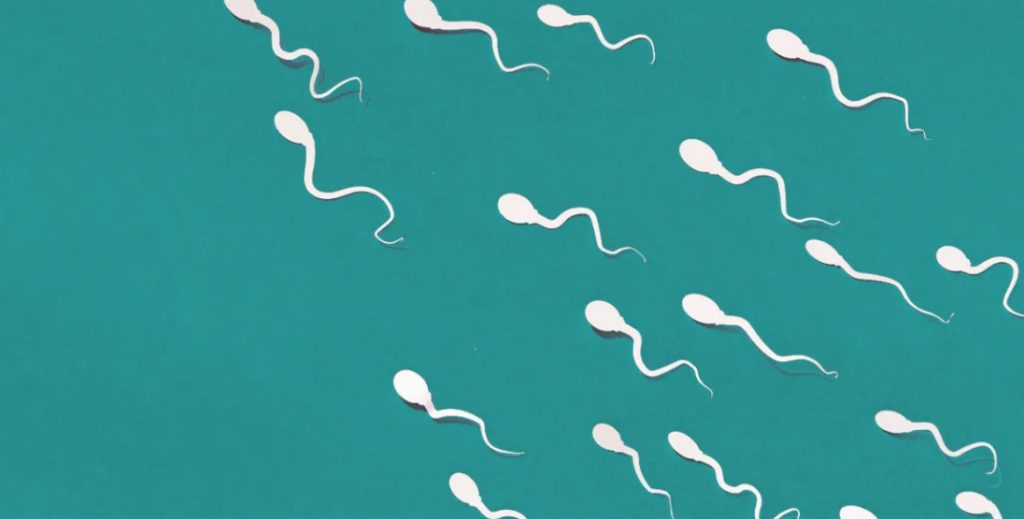 Sperm