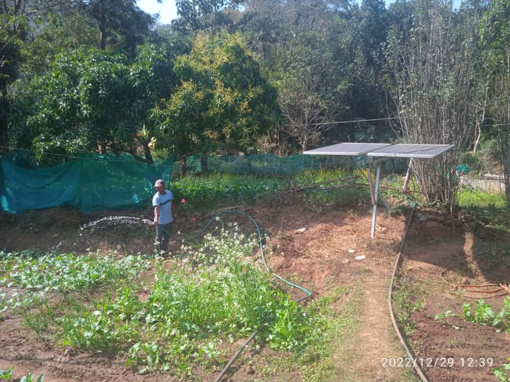 Solar energy, Gajapati, farmer