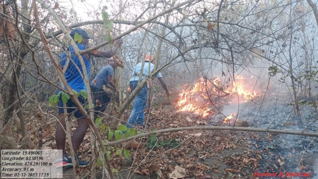 Drone cameras to check fires in Rayagada forests