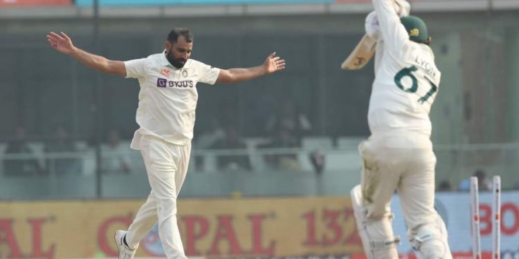 Md Shami (Courtesy: BCCI/Twitter)