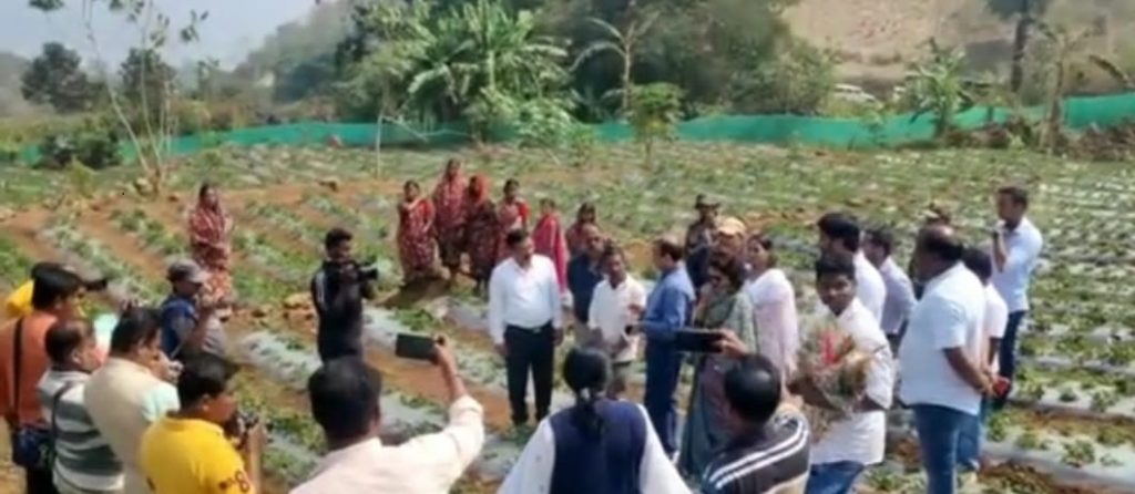 Odisha Chief Secy visits Kotia strawberry farm