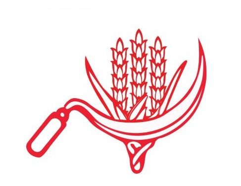 CPI(M) to contest Karnataka election with its corn and sickle symbol (Image: Deccan Herald)