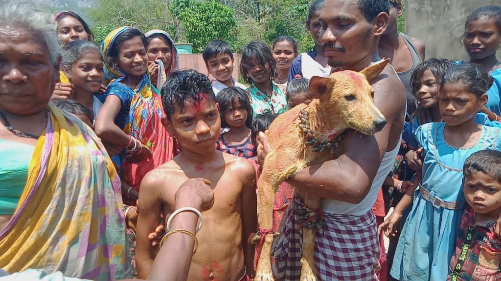 Human-dog marriage continues in tribal Ho village in Odisha