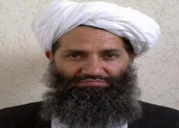 Taliban supreme leader appoints new acting PM of Afghanistan